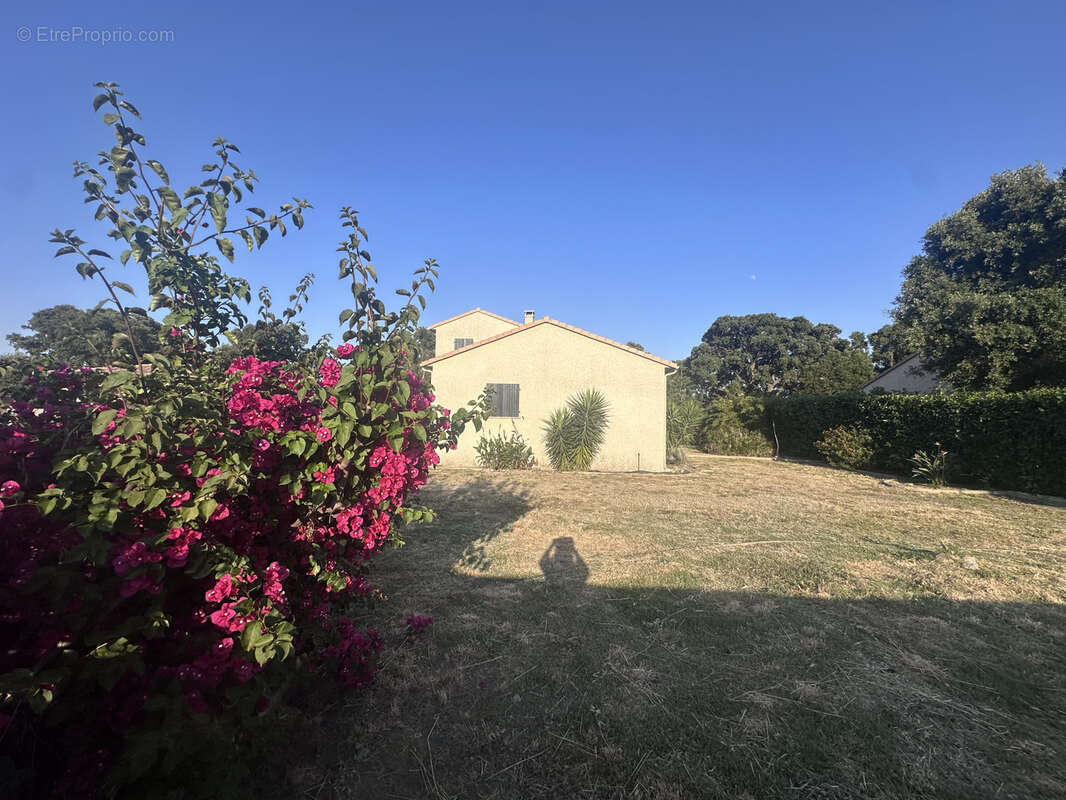 Maison à SERRA-DI-FIUMORBO