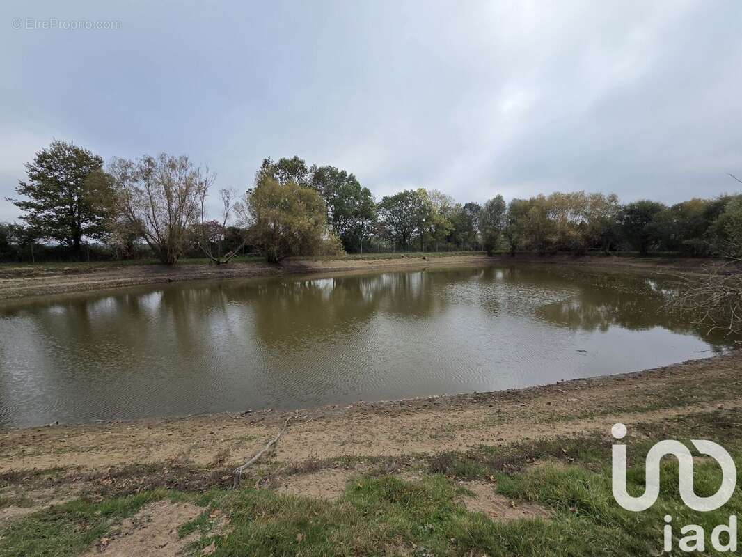 Photo 2 - Terrain à LA TESSOUALLE