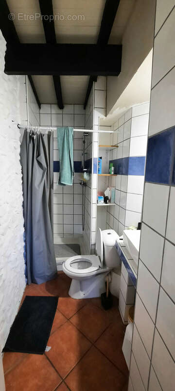 Appartement type loft ceret centre ville 66 vallespir espagne mer montagne - photo 7