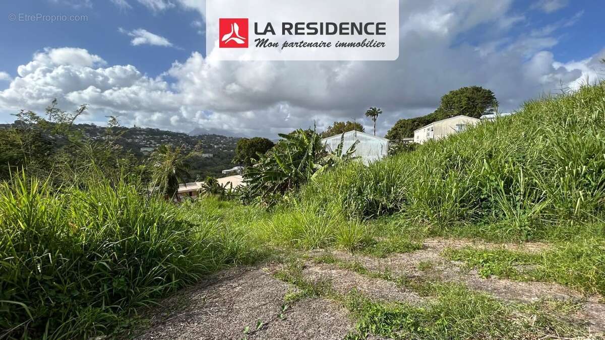 Terrain à FORT-DE-FRANCE
