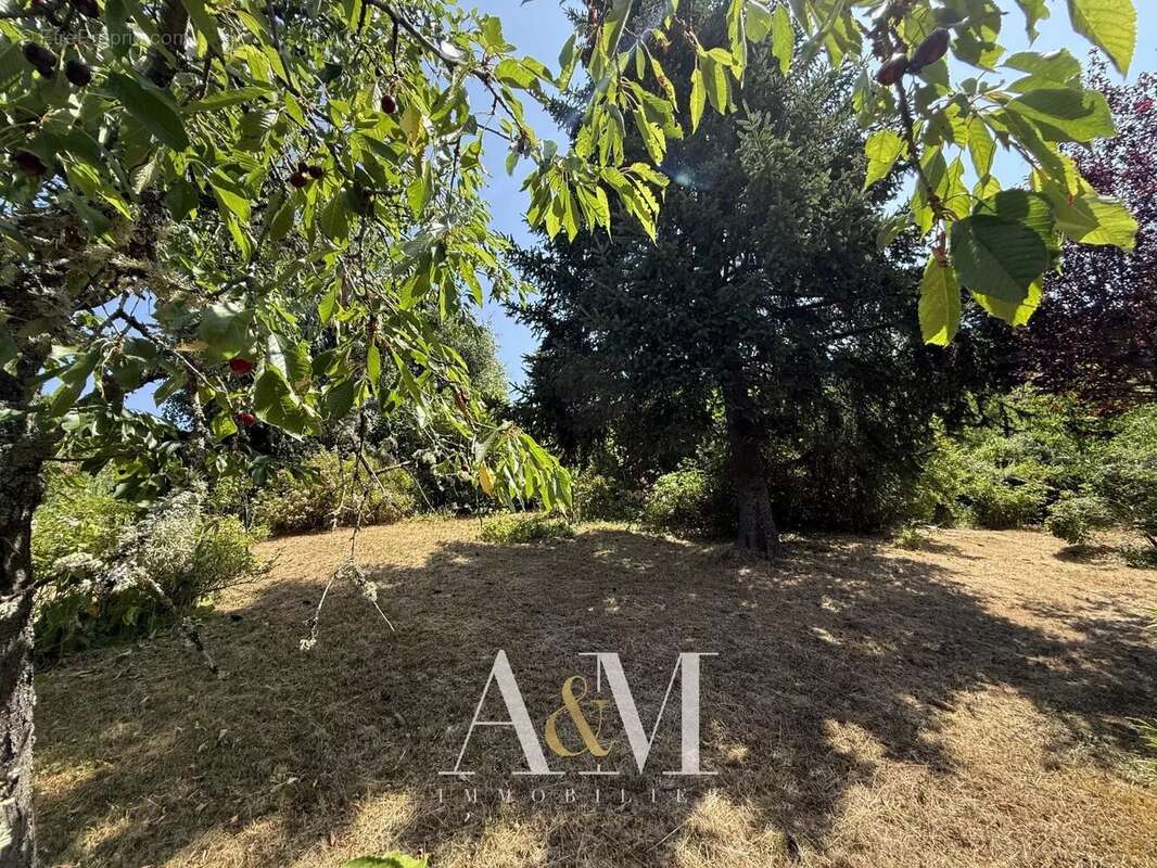 Villa T6 de 275 m² + sous-sol 180 m²/ 2548m² - photo 28