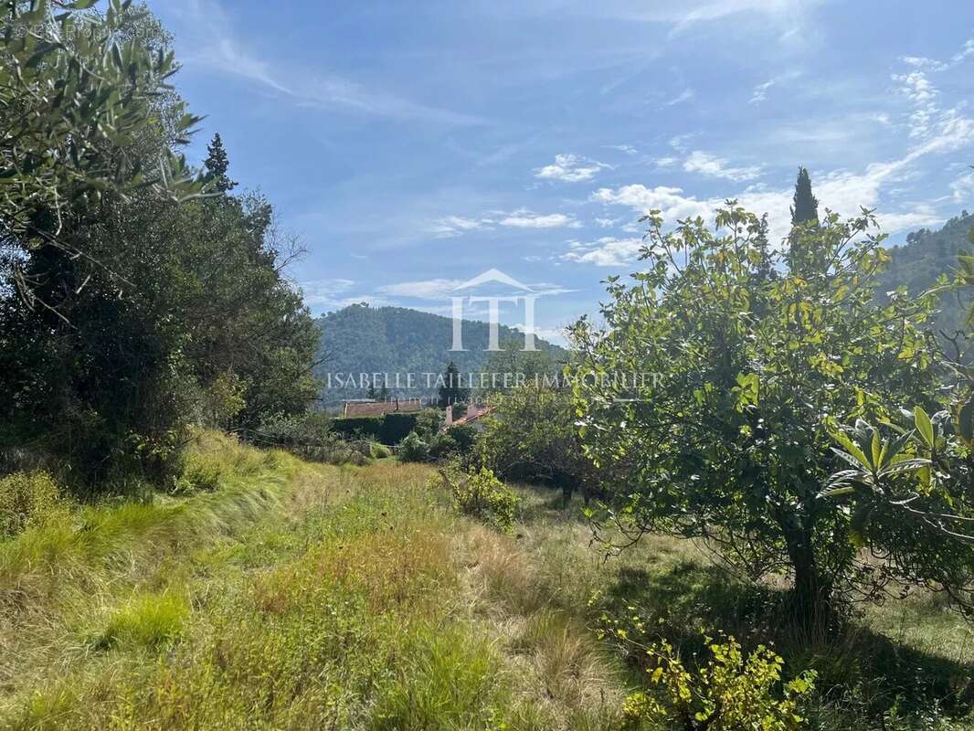 Terrain à L'ESCARENE