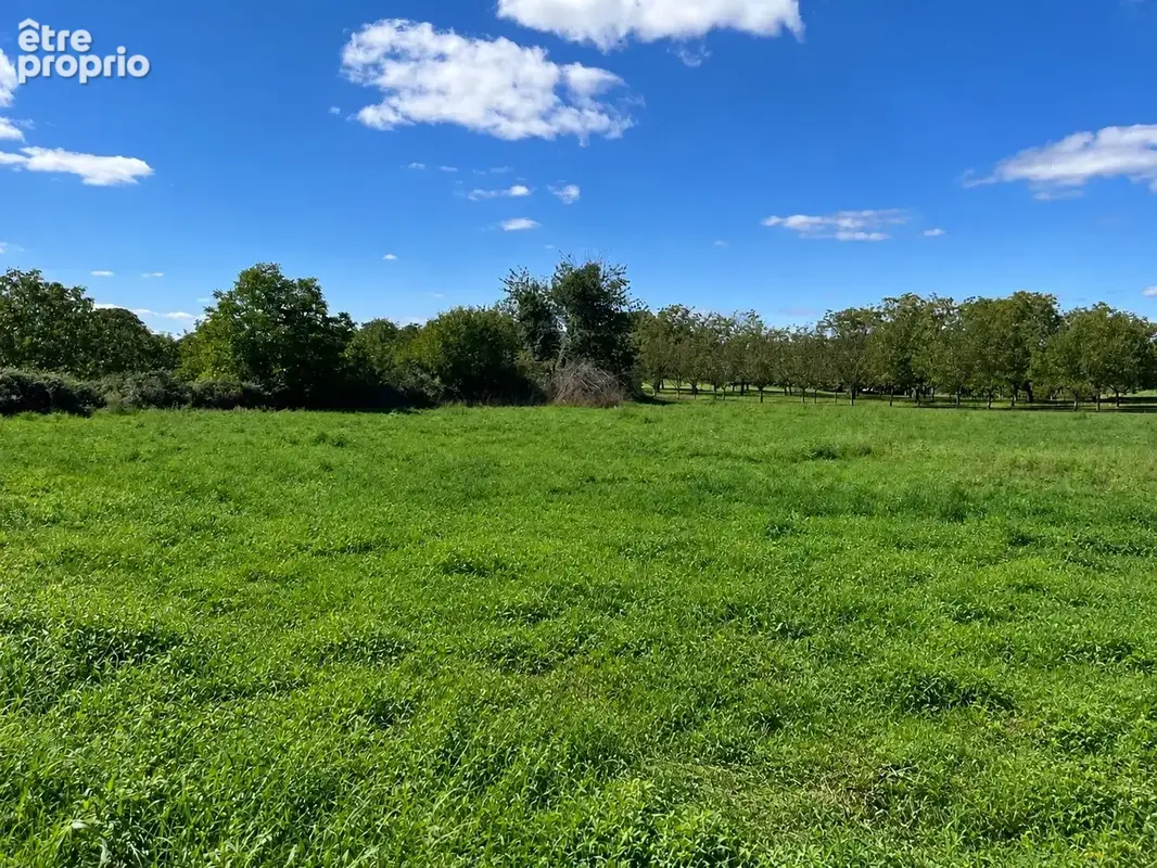 Terrain à SALIGNAC-EYVIGUES