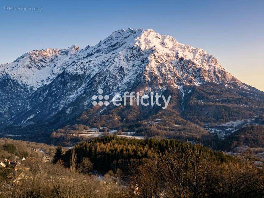 Appartement - photo 5