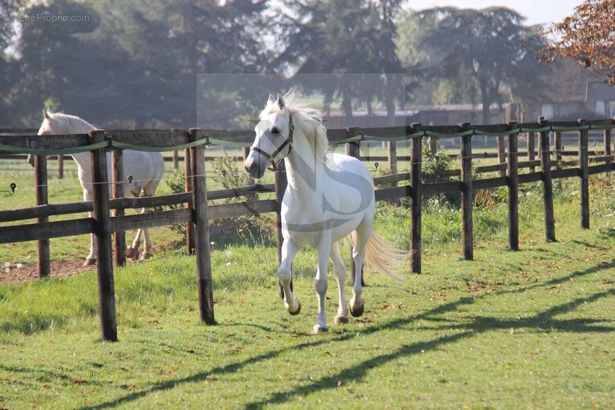 Maison à FORGES-LES-EAUX