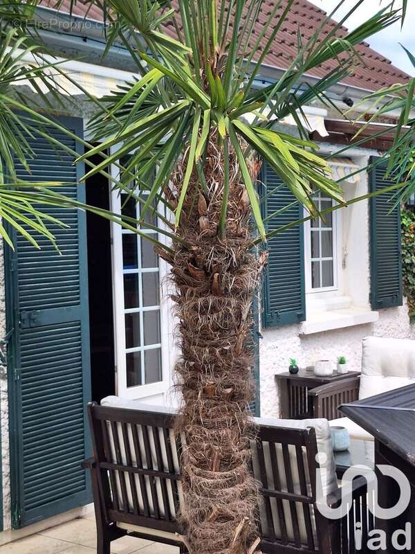 Photo 7 - Maison à MEDAN