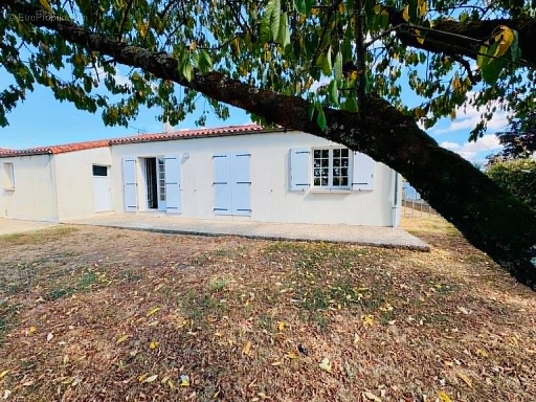 Maison à MONTAIGU
