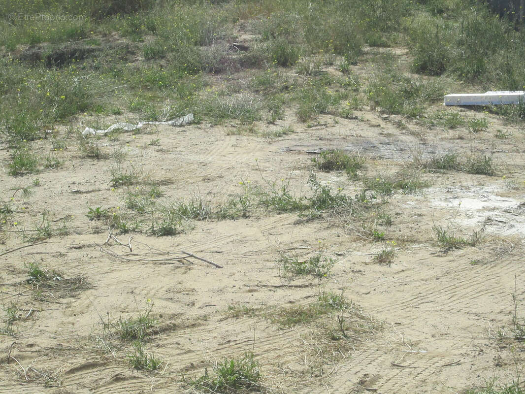 Terrain à MARCORIGNAN