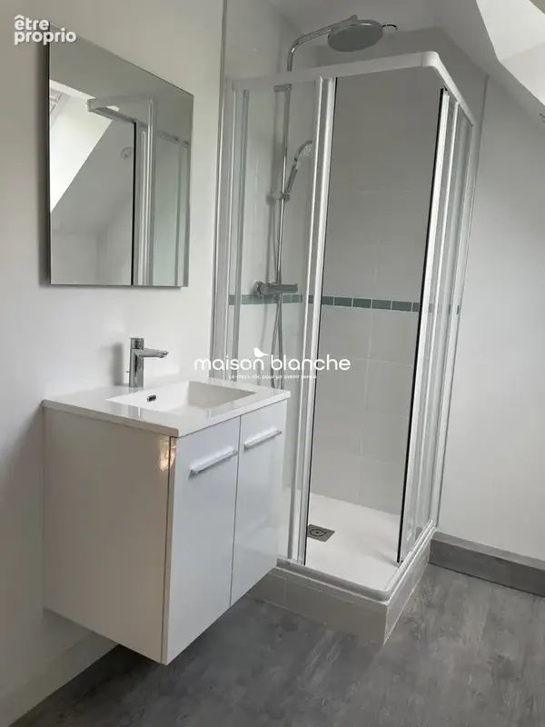 Maison 7 pièces 174 m² à vendre à Saint-Barthelemy-D'anjou (49124) - photo 7