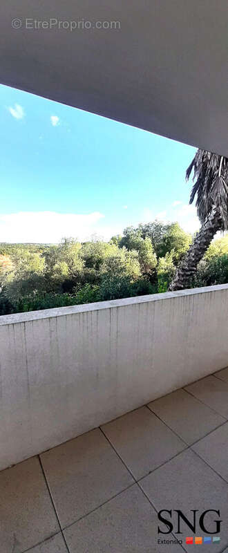 Vue côté Est - Appartement à BAILLARGUES