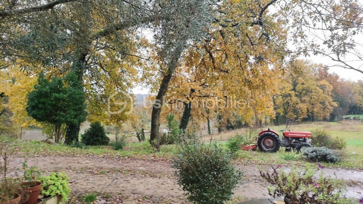 Terrain à SAINTE-COLOMBE