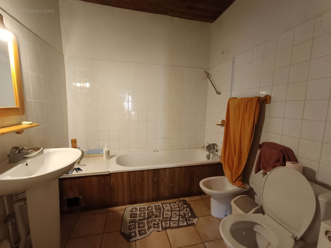 Deux Gîtes de grandes capacités en Haute Vallée de l'Aude - photo 6