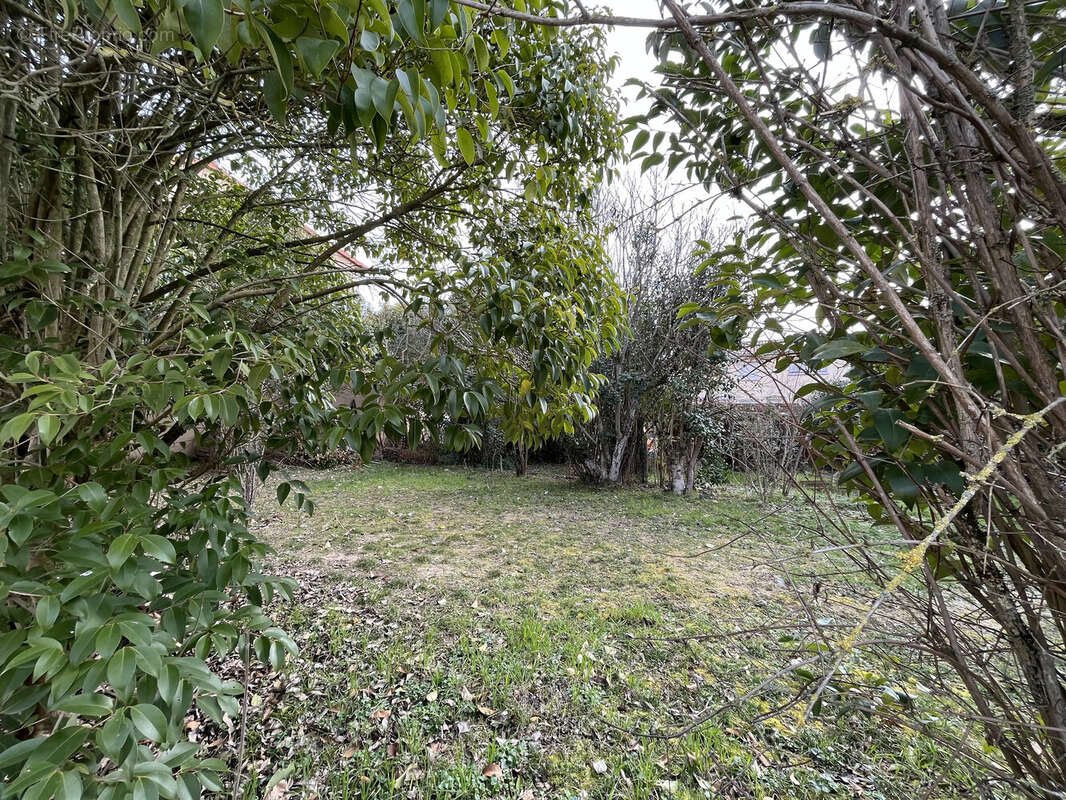 Terrain à SEGOUFIELLE