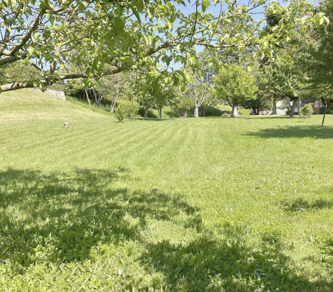 Terrain 605 m² à Montieramey  - photo 2