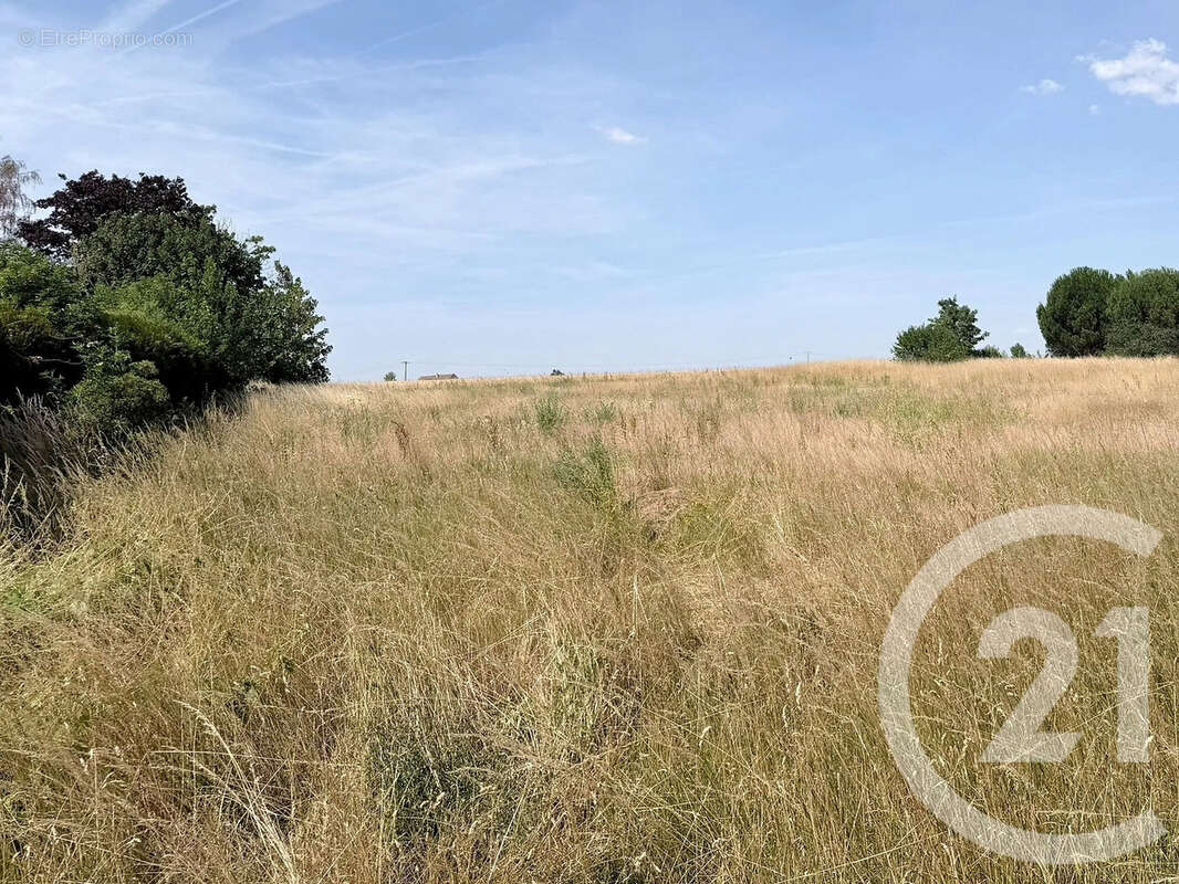 Terrain 945 m² à Maison-Rouge  - photo 6