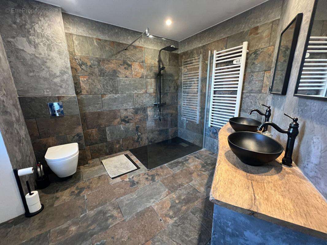 Maison à LA MOTHE-SAINT-HERAY