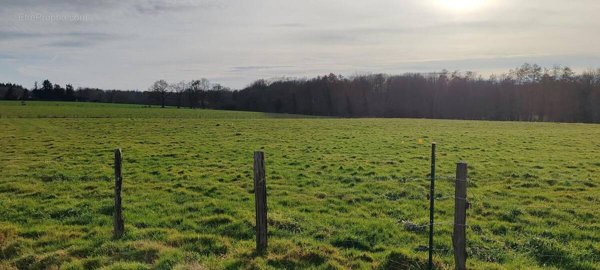 Photo 1 - Terrain à DOMPIERRE-SUR-VEYLE