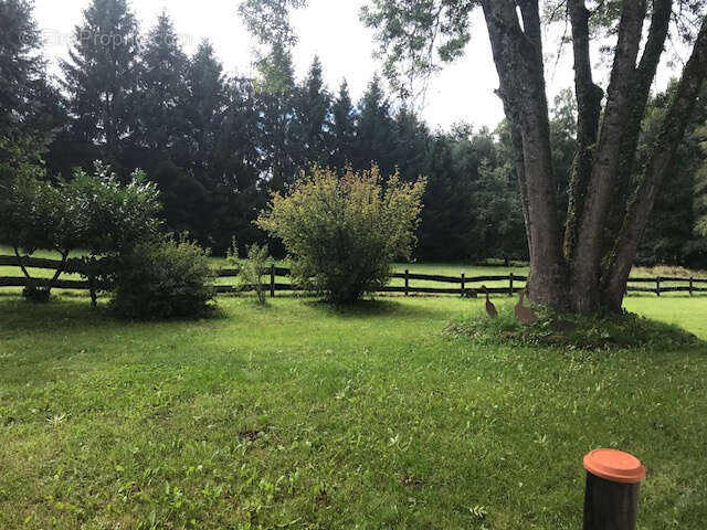 Maison à BIFFONTAINE