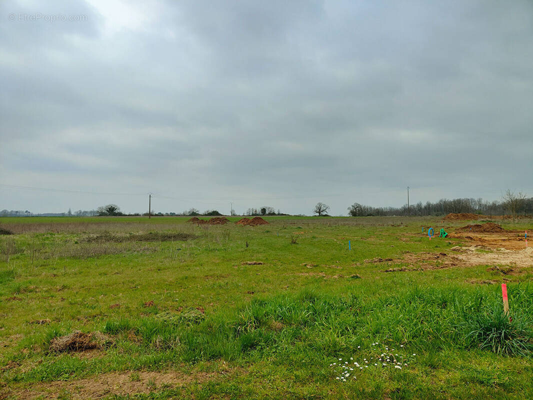 Terrain à LENCLOITRE