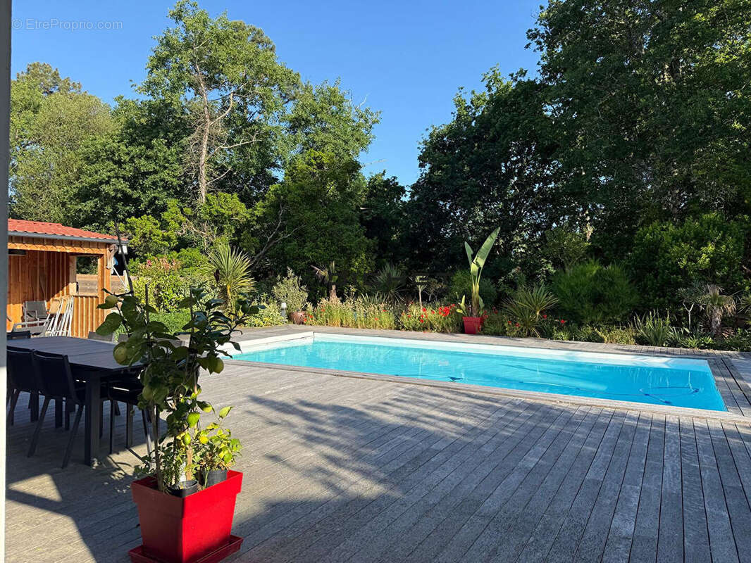 Maison à LEGE-CAP-FERRET