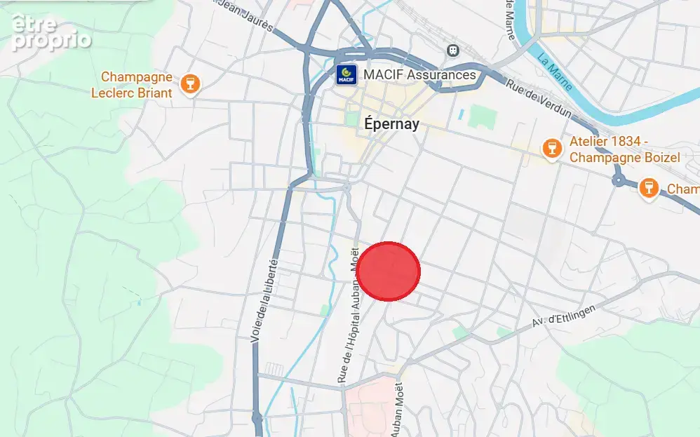 Appartement T3 avec balcon, cave et garage à Épernay - photo 9