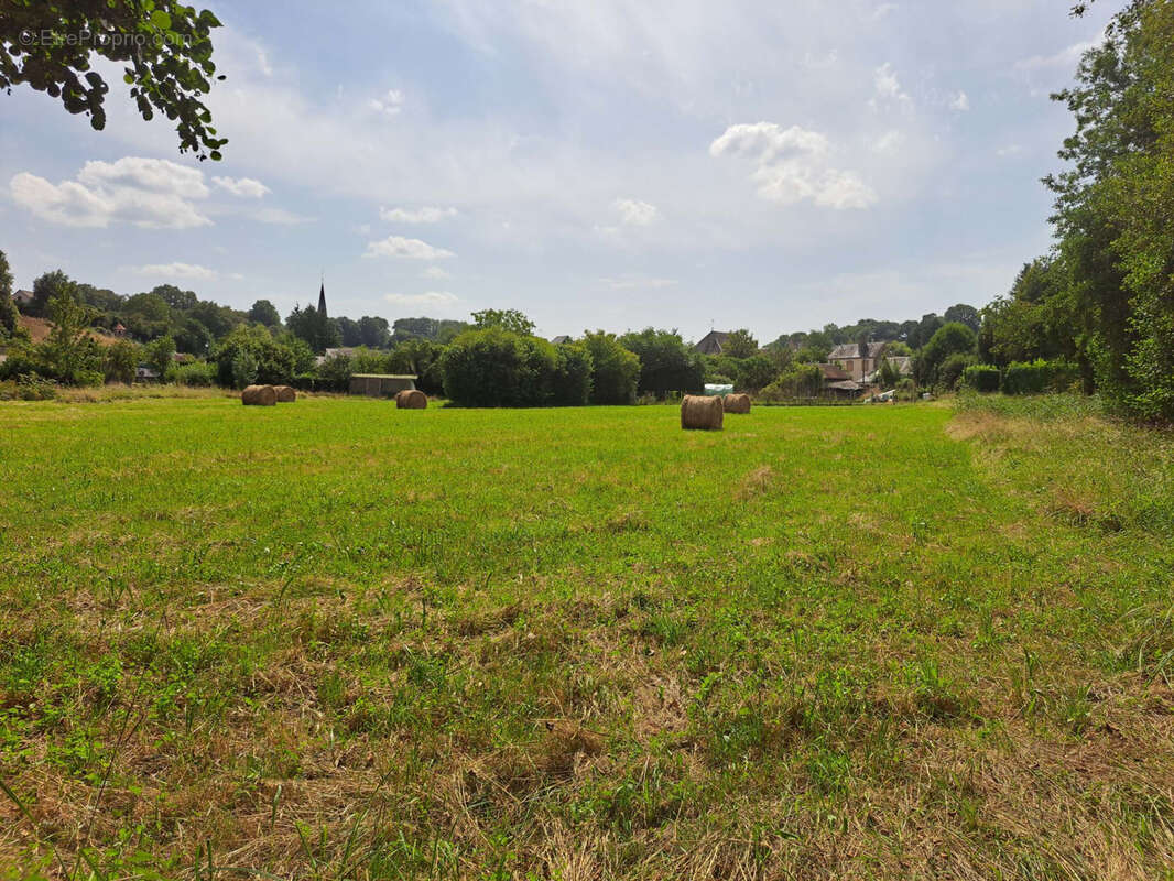Terrain à SAINT-CALAIS