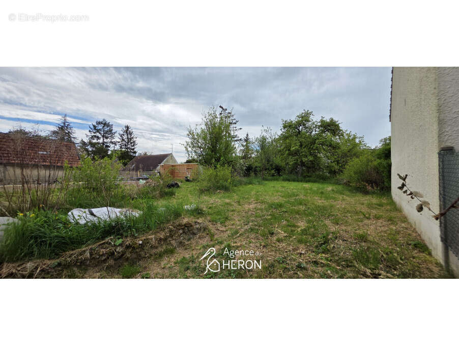 Terrain à CHAMPIGNY