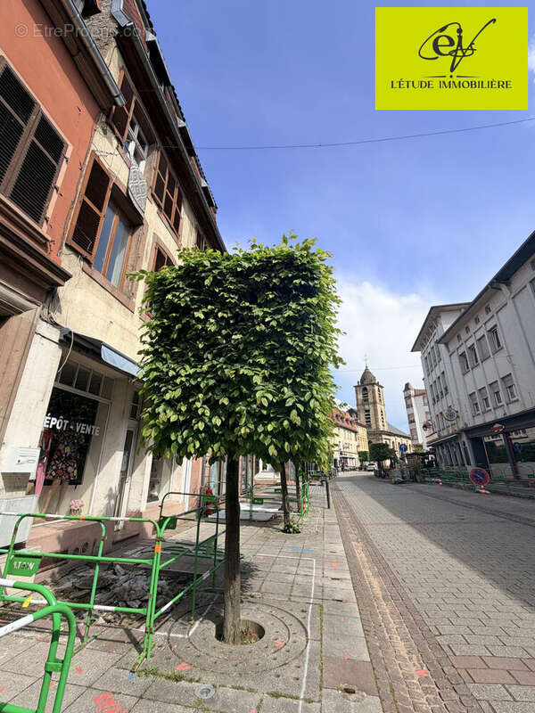 Appartement à SARREGUEMINES