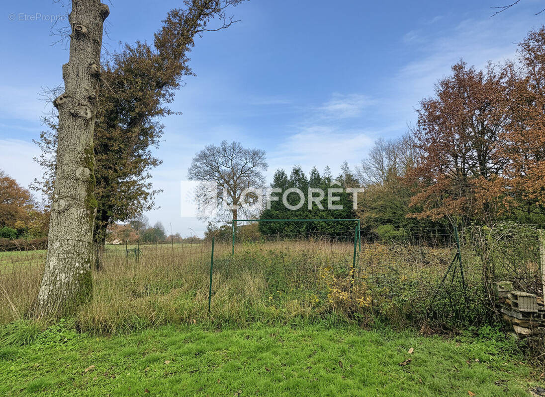 Terrain à CARENTOIR