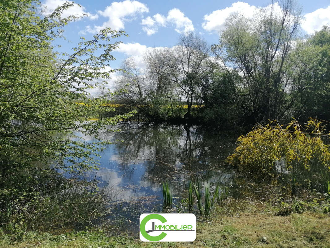 Maison de campagne - photo 12