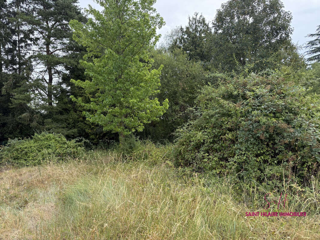 Terrain 400 m² à Clery-Saint-Andre  - photo 2