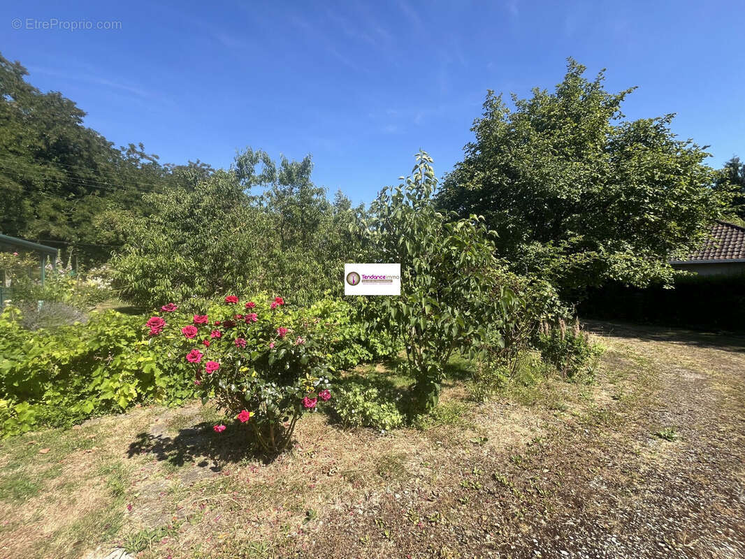 Maison à MORTAGNE-AU-PERCHE