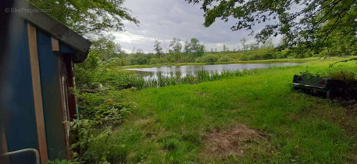 Terrain à SARREBOURG