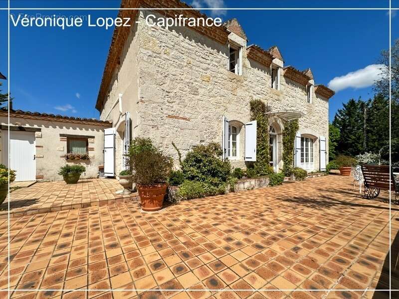 Golfech, à 10 minutes, propriété de charme au cœur de la nature sur plus de 15 hectares - photo 10