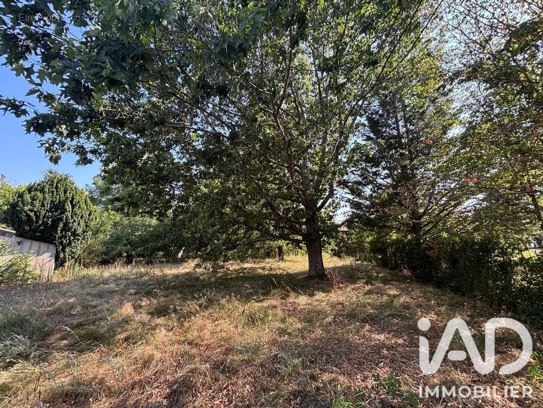 Maison 194 m² à Leguevin  - photo 6