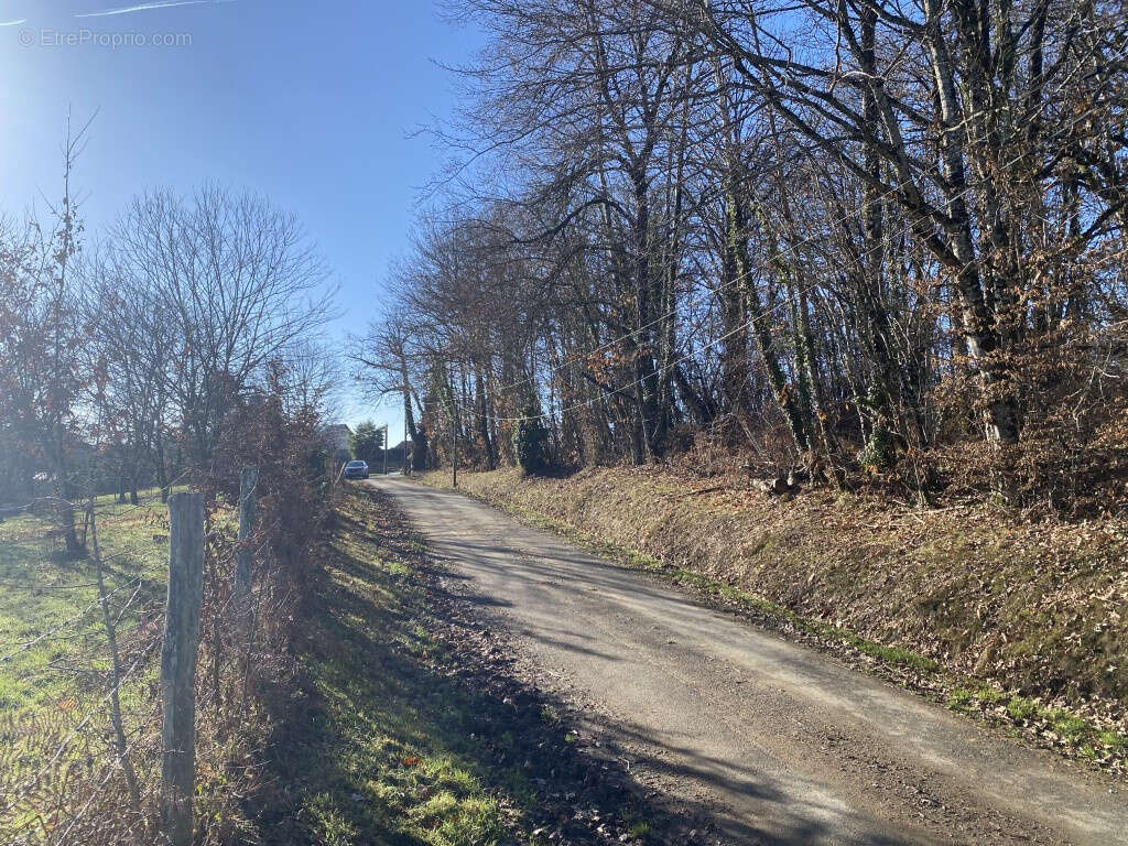 Terrain à BEYSSAC