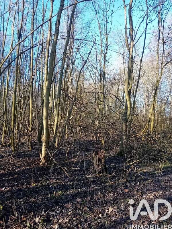 Photo 2 - Terrain à CHALETTE-SUR-LOING