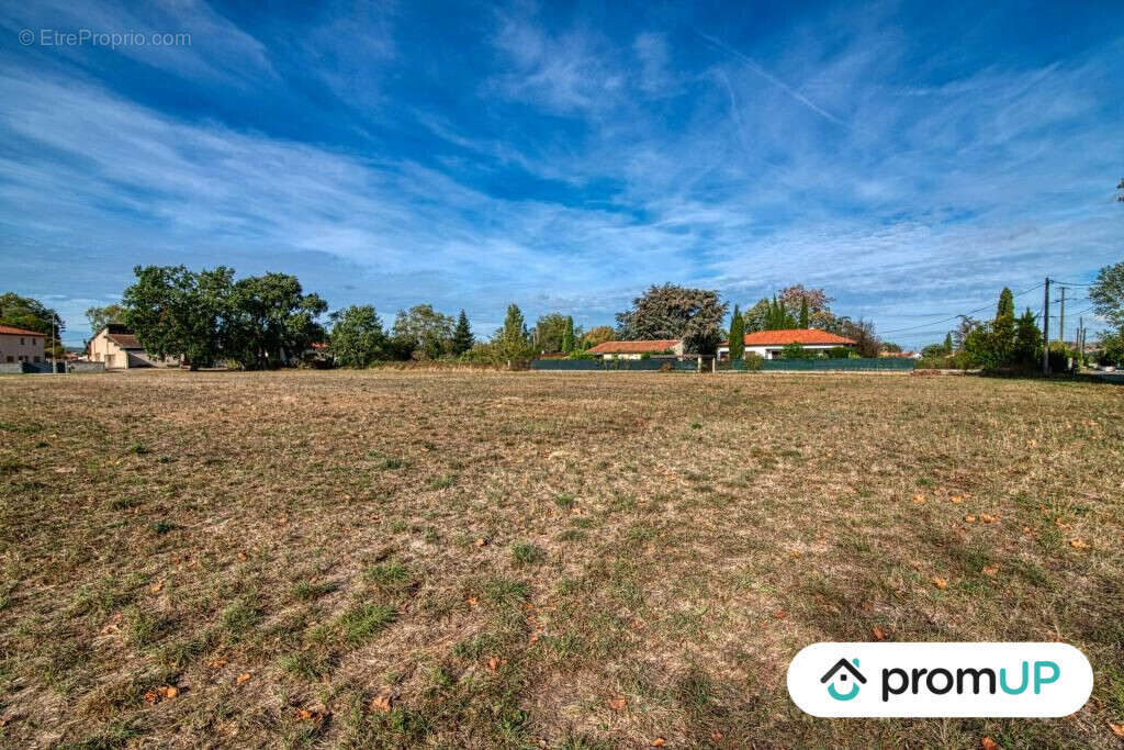 Terrain à CINTEGABELLE