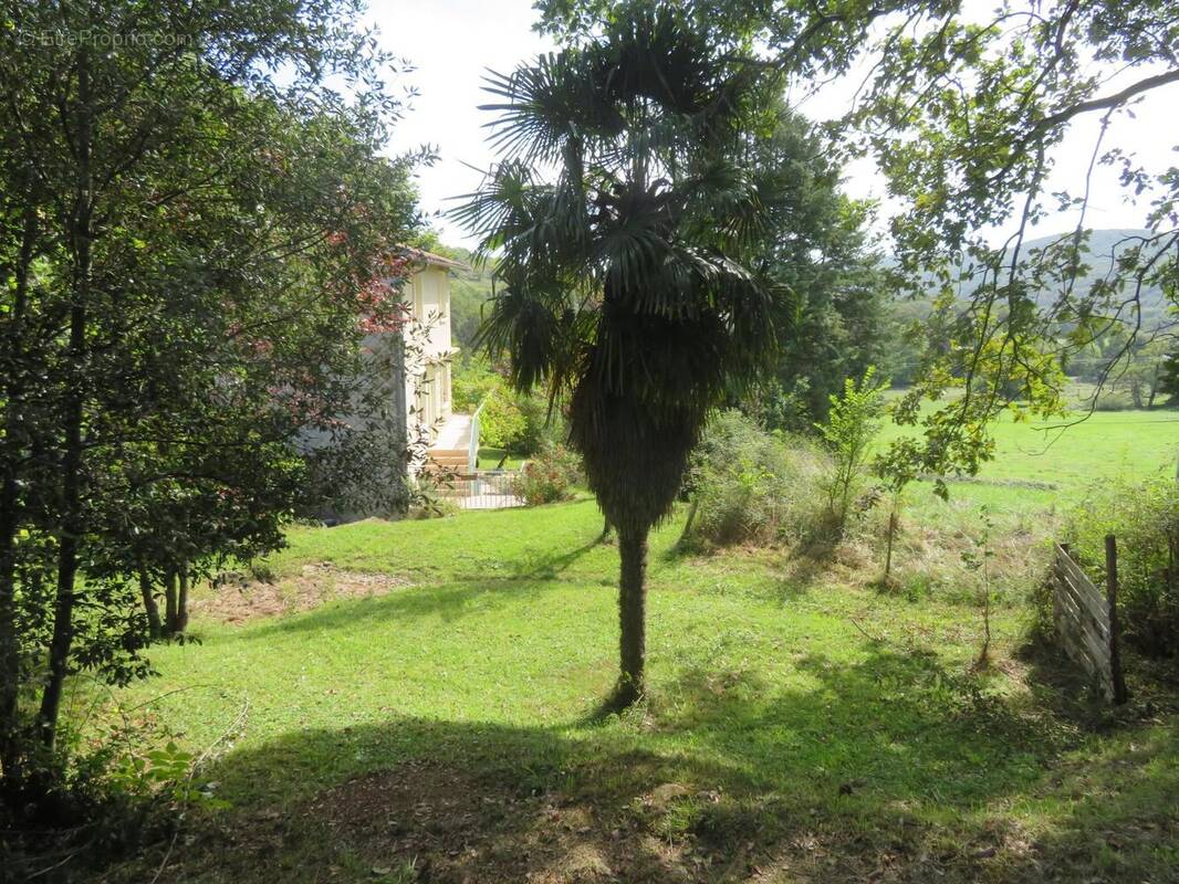 Photo 1 - Maison à FOIX