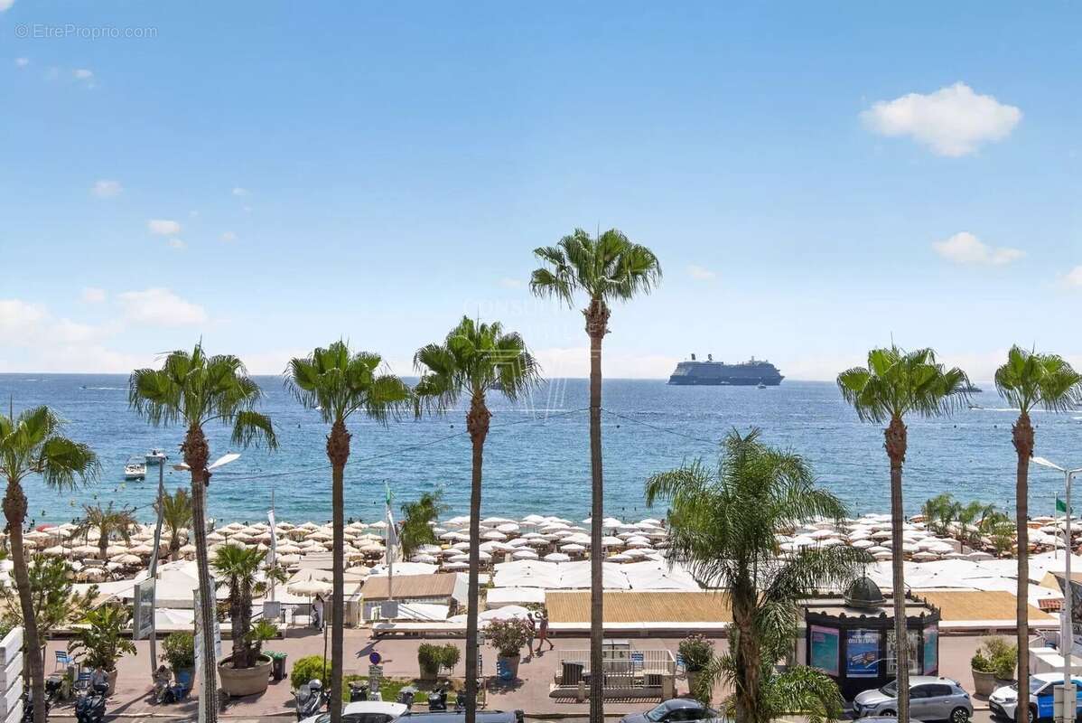La croisette - superbe appartement/terrasse - photo 11
