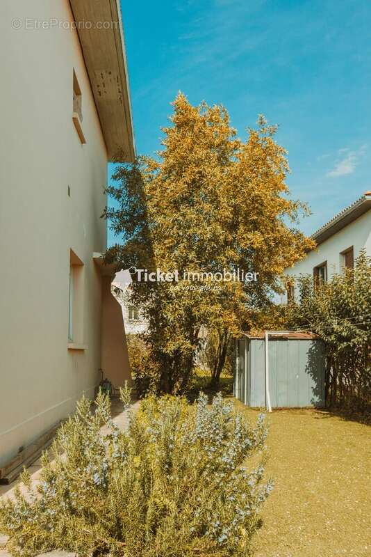 Maison à COLOMIERS