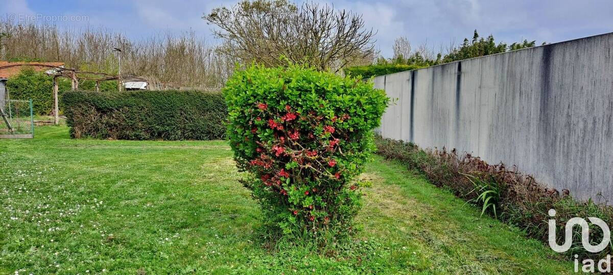 Photo 1 - Terrain à SAINT-XANDRE