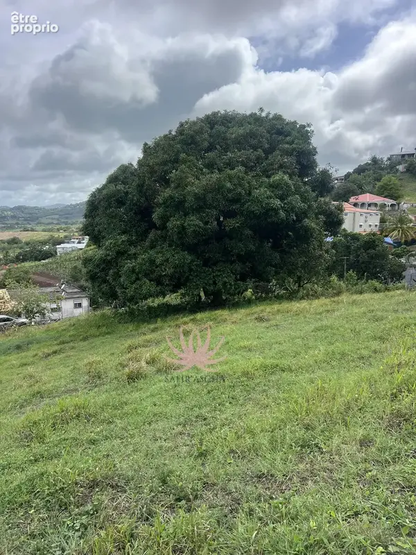 n°1 - Terrain à LE FRANCOIS