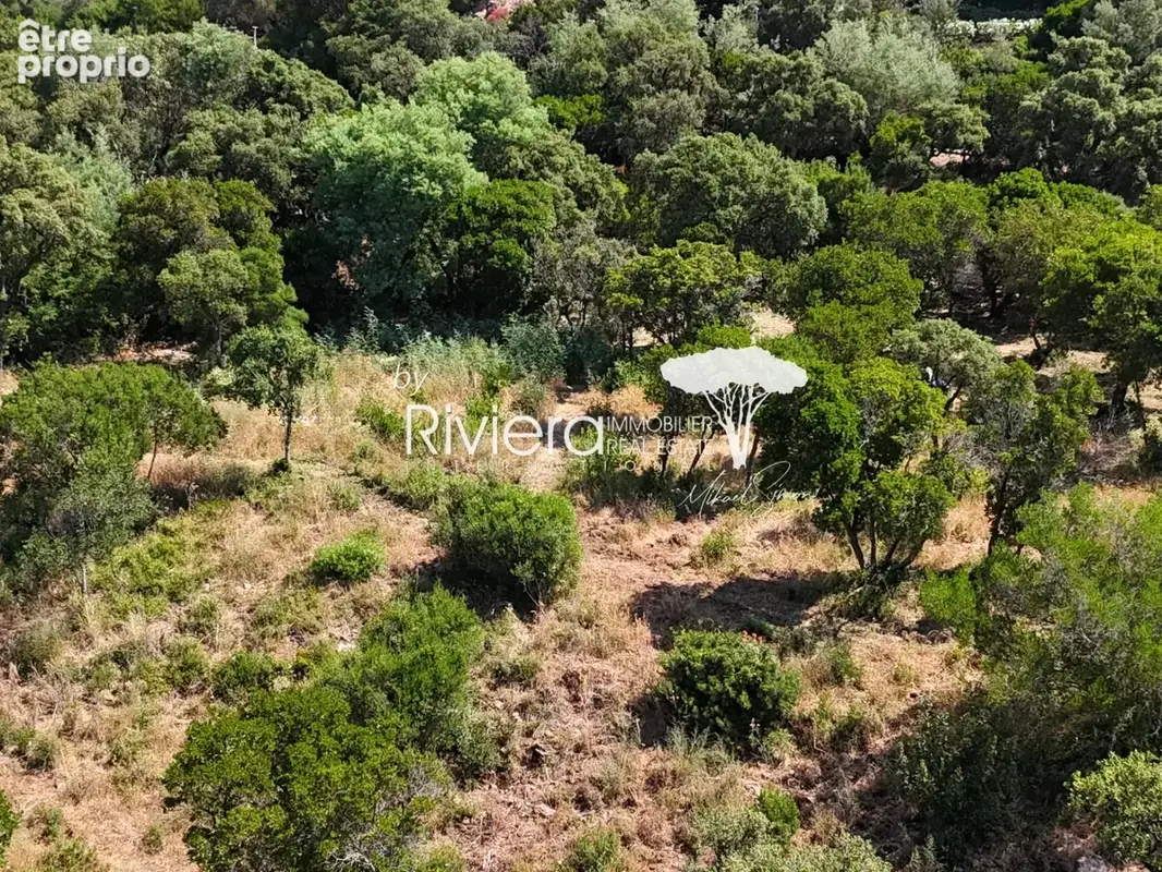 TERRAIN A BATIR avec vue Mer idéalement situé dans un secteu - photo 4