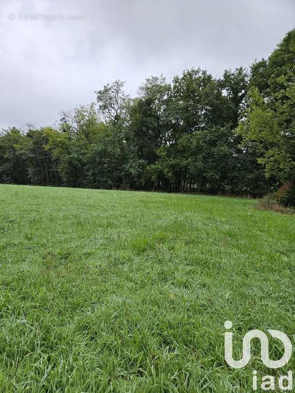 Photo 3 - Terrain à VILLENEUVE-SUR-YONNE