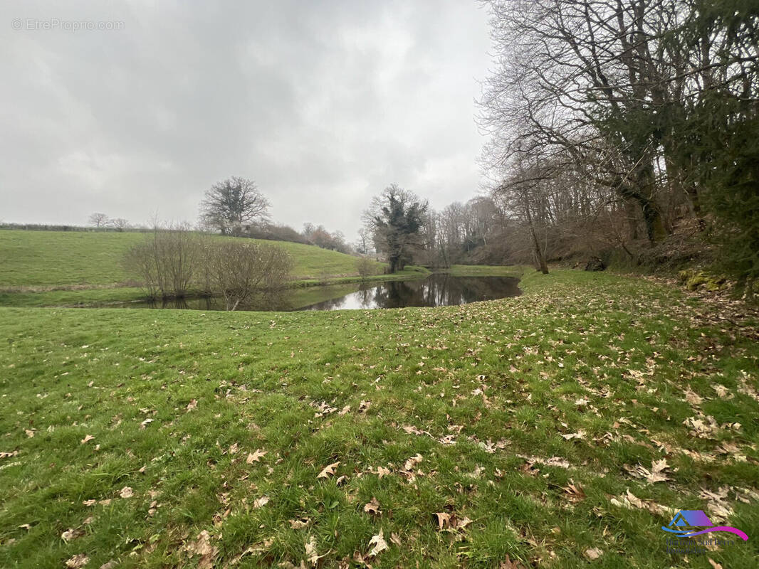 Terrain à SAINT-PRIEST-LA-MARCHE