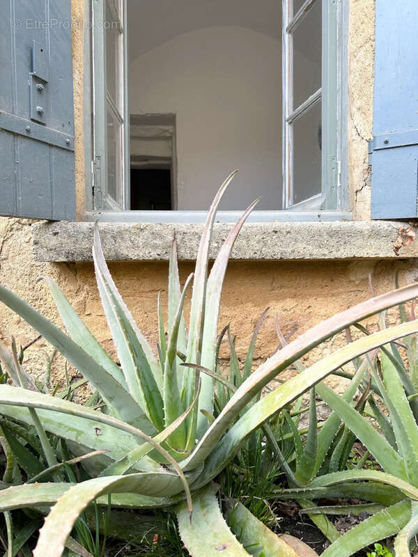 Maison à VALLIGUIERES