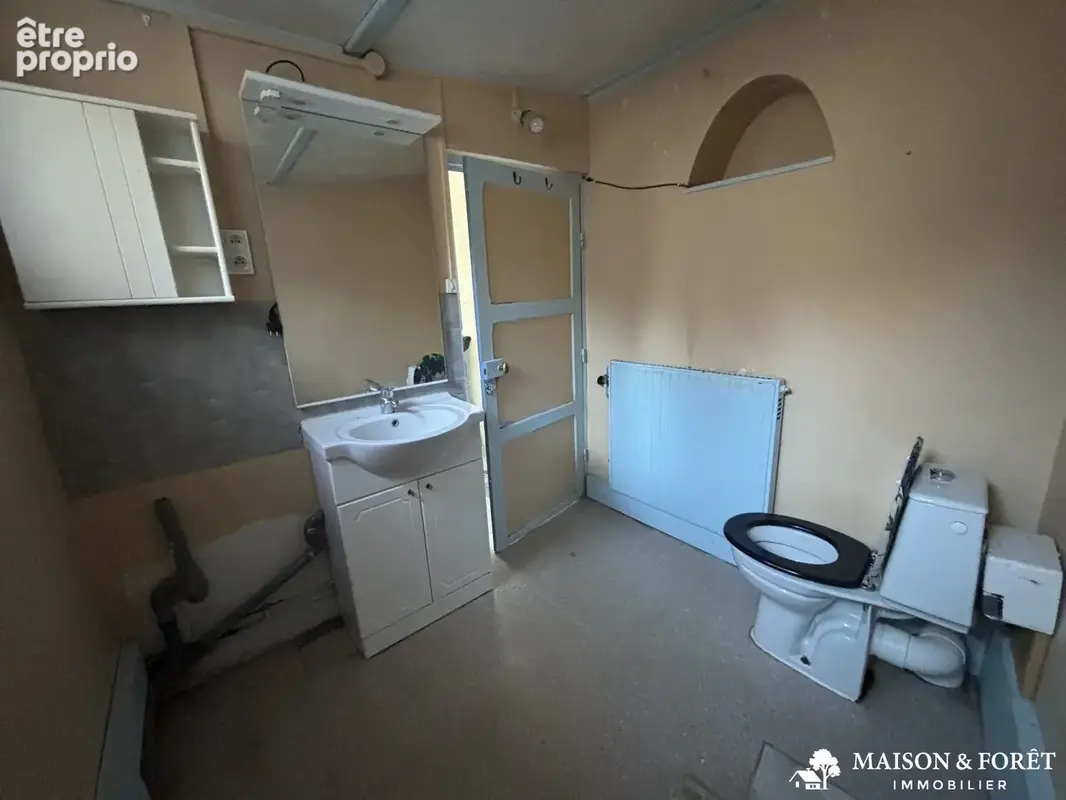 Maison 3 pièces 60 m² à vendre à Ouzouer-Sur-Trezee (45250) - photo 7