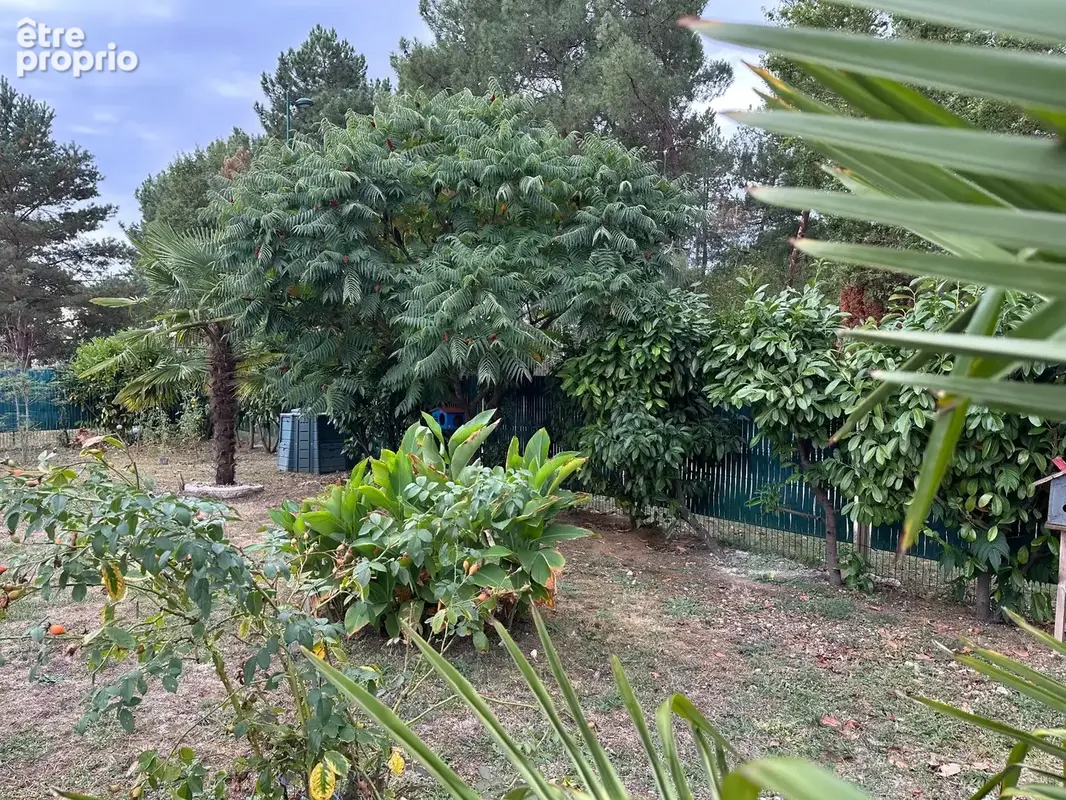 Maison familiale de 110 m² avec jardin arboré à Écommoy - photo 13