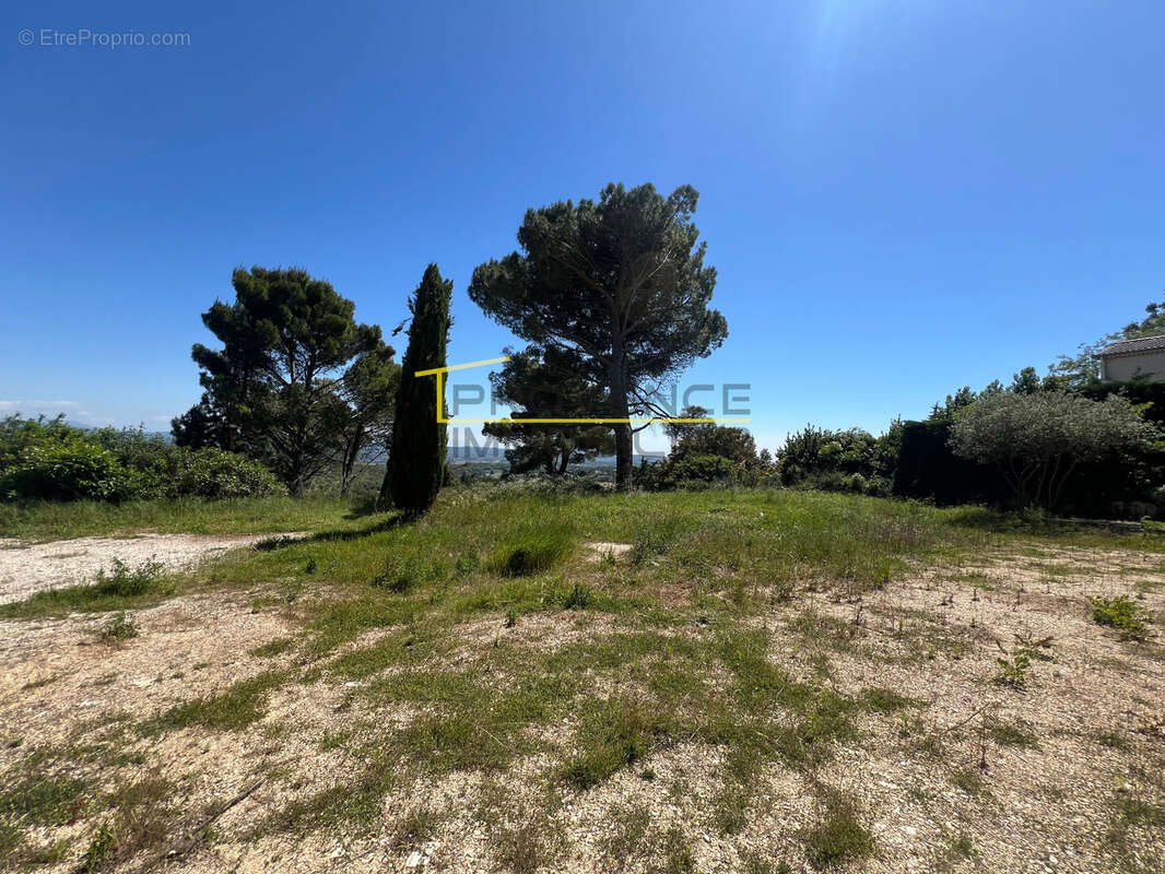 Terrain à SAVASSE